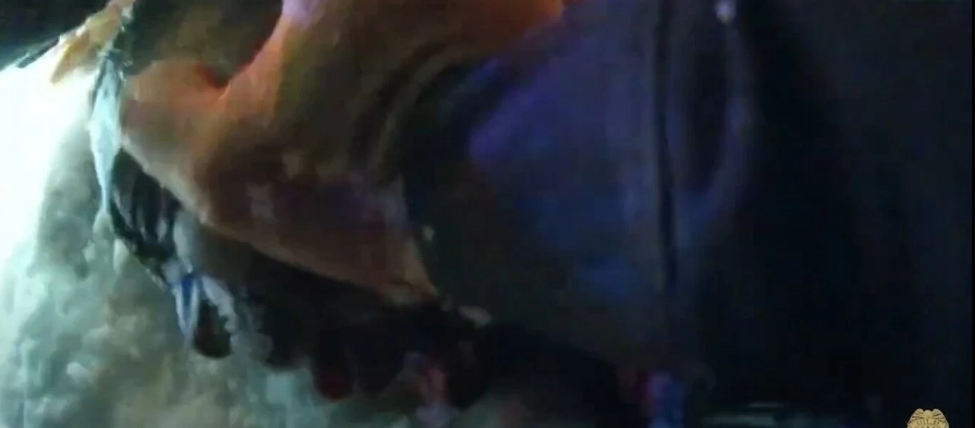 ΗΠΑ: Βίντεο δείχνει ένστολο να βάζει χιόνι στο πρόσωπο συλληφθέντα